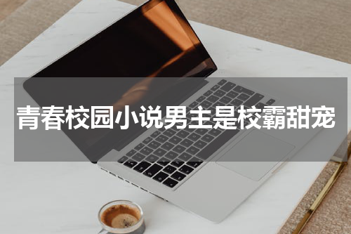 青春校园小说男主是校霸甜宠