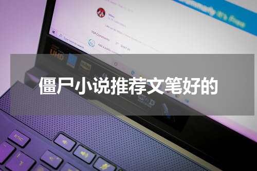 僵尸小说推荐文笔好的