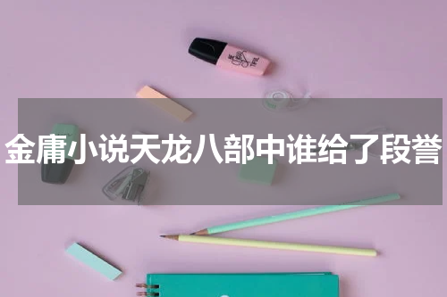 金庸小说天龙八部中谁给了段誉