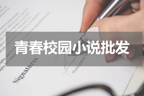 青春校园小说批发