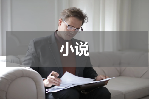 小说