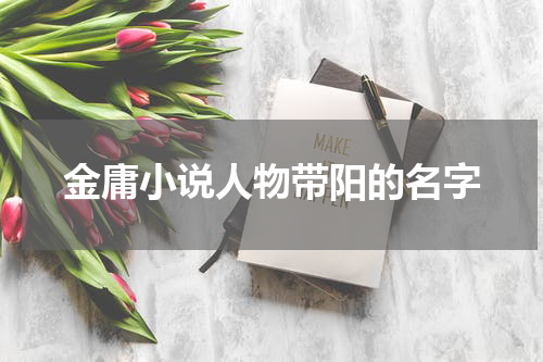 金庸小说人物带阳的名字