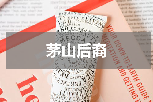 茅山后裔