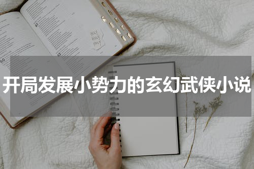 开局发展小势力的玄幻武侠小说