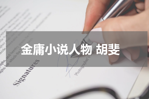 金庸小说人物 胡斐