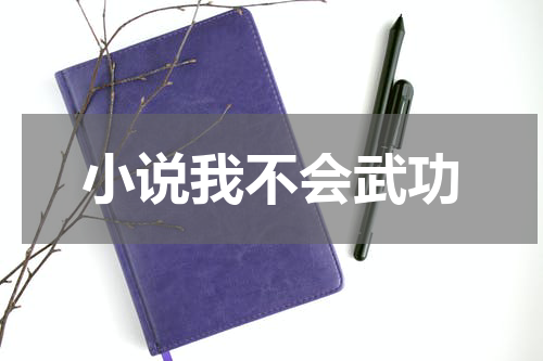 小说我不会武功