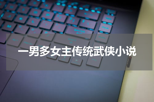 一男多女主传统武侠小说