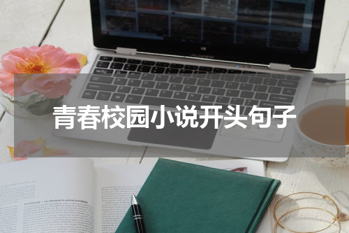 青春校园小说开头句子