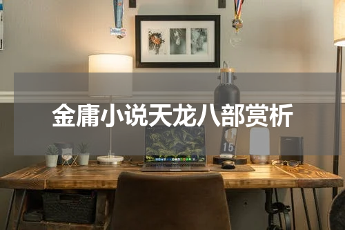 金庸小说天龙八部赏析
