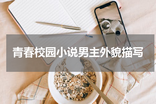 青春校园小说男主外貌描写