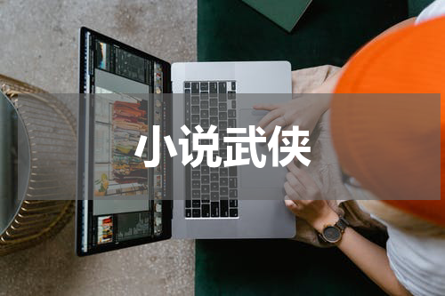 小说武侠