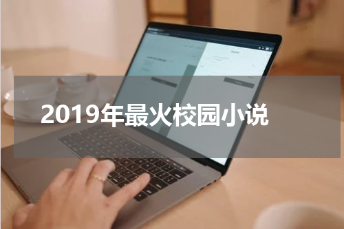 2019年最火校园小说