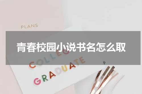 青春校园小说书名怎么取