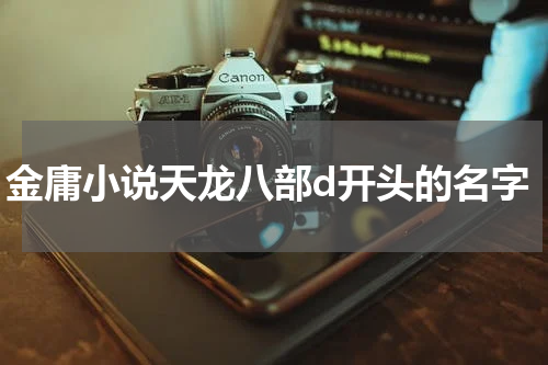金庸小说天龙八部d开头的名字