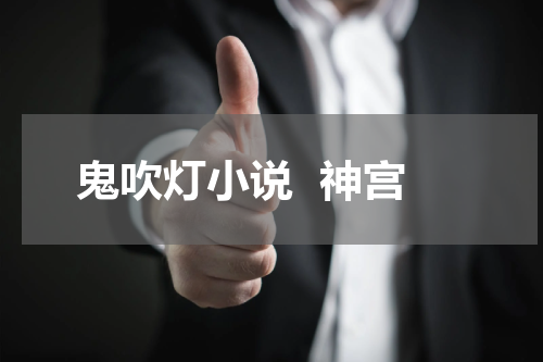 鬼吹灯小说  神宫
