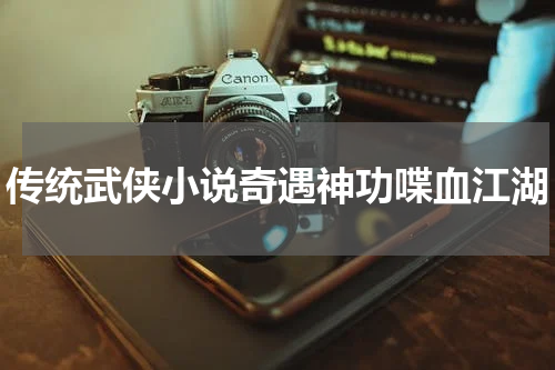 传统武侠小说奇遇神功喋血江湖