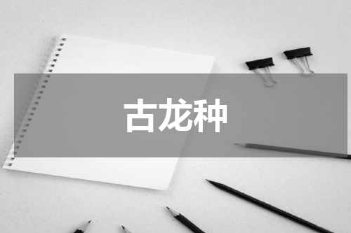 古龙种