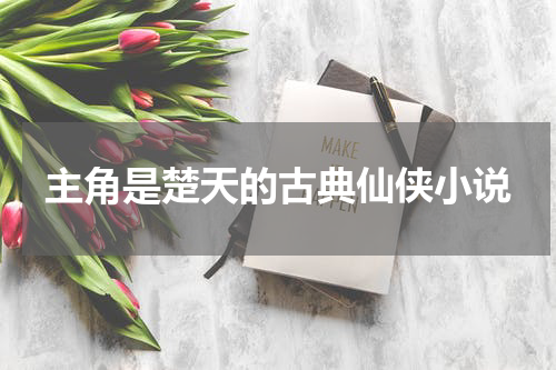 主角是楚天的古典仙侠小说