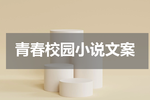 青春校园小说文案