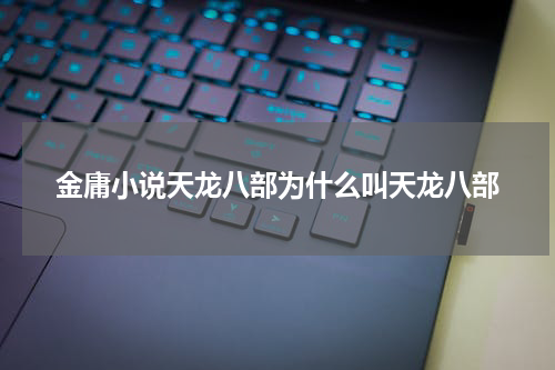 金庸小说天龙八部为什么叫天龙八部
