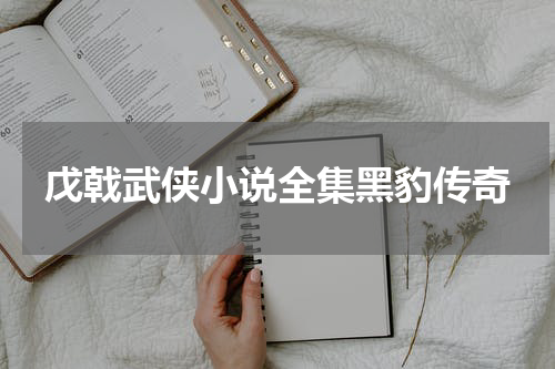 戊戟武侠小说全集黑豹传奇