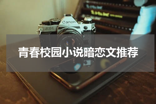青春校园小说暗恋文推荐