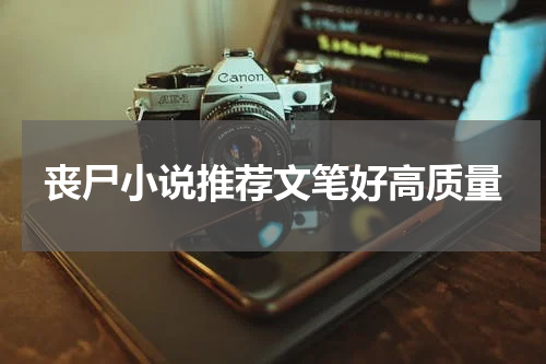 丧尸小说推荐文笔好高质量