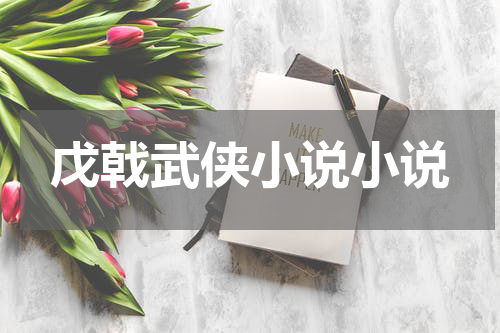 戊戟武侠小说小说