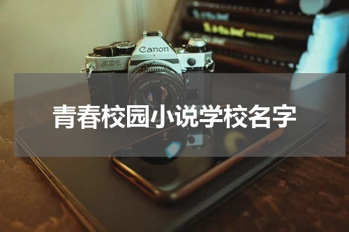 青春校园小说学校名字