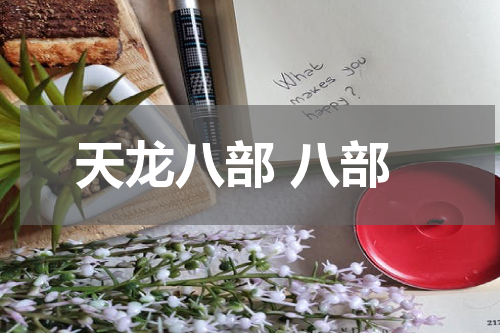 天龙八部 八部