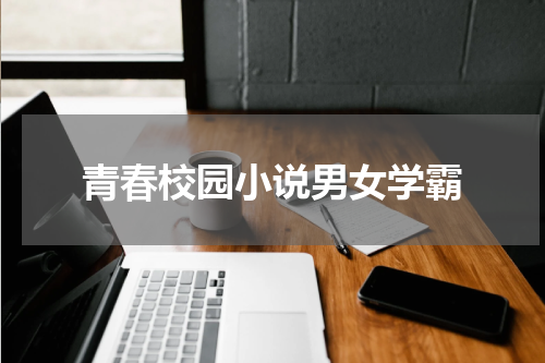 青春校园小说男女学霸