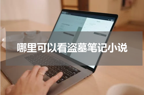 哪里可以看盗墓笔记小说