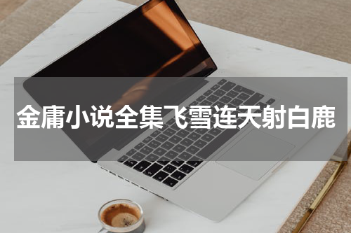 金庸小说全集飞雪连天射白鹿