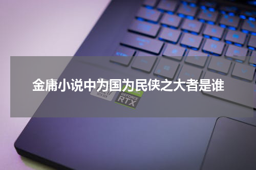 金庸小说中为国为民侠之大者是谁