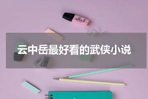 云中岳最好看的武侠小说