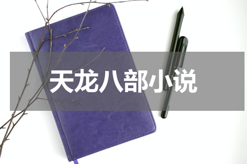 天龙八部小说