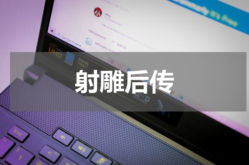 射雕后传