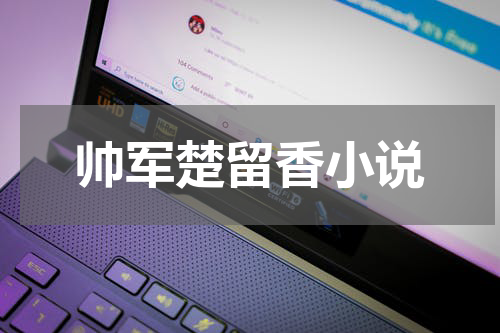 帅军楚留香小说