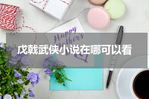 戊戟武侠小说在哪可以看