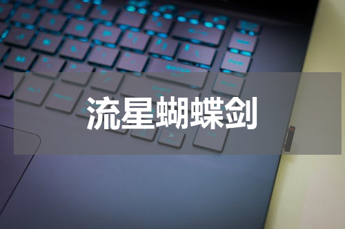 流星蝴蝶剑