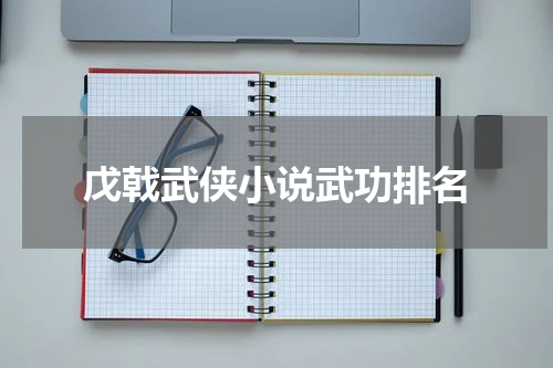 戊戟武侠小说武功排名