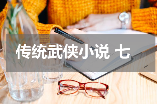 传统武侠小说 七
