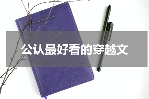 公认最好看的穿越文