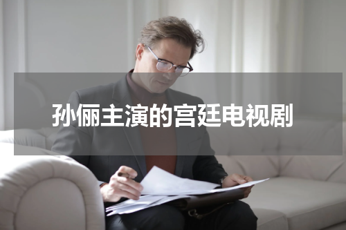 孙俪主演的宫廷电视剧