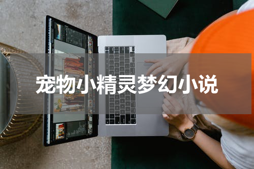 宠物小精灵梦幻小说