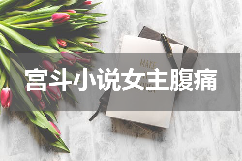 宫斗小说女主腹痛