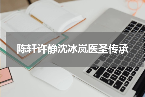 陈轩许静沈冰岚医圣传承