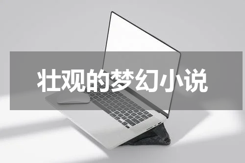 壮观的梦幻小说