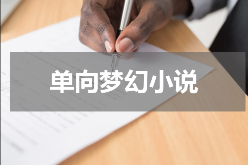 单向梦幻小说