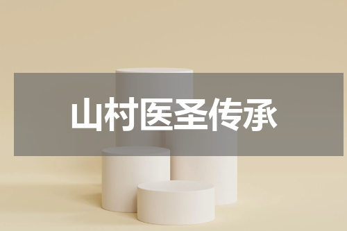 山村医圣传承
